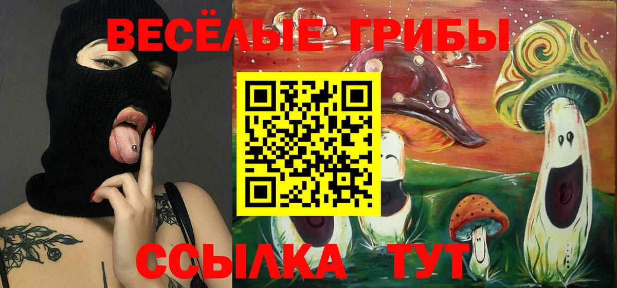 Псилоцибиновые грибы мицелий  купить закладку  Чапаевск  Вход с VPN 
